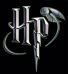 Harry Potter na Fantasy Planet