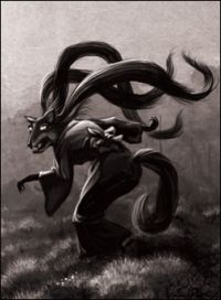 Šerosvit - ilustrace