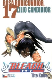 Bleach 17