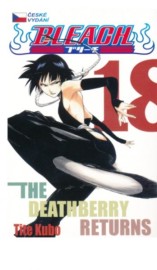 Bleach 18