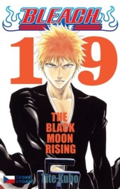 Bleach 19