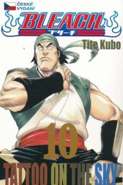 Bleach 10