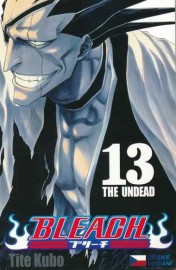 Bleach 13
