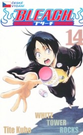 Bleach 14