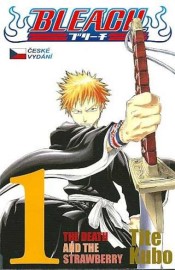 Bleach 1