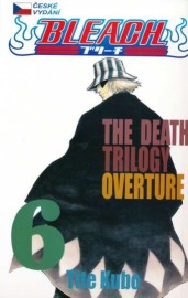 Bleach 6