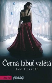 Černá labuť vzlétá