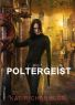 Kat Richardson: Poltergeist (Šerochodec 2)