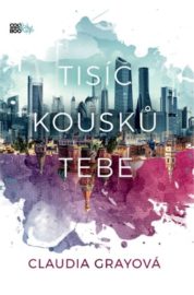 Tisíc kousků tebe