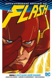 Flash 1: Blesk udeří dvakrát (brož.)