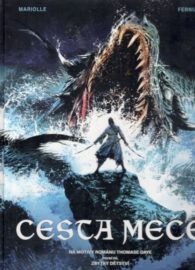 Cesta meče 1 - Zbytky dětství (váz.)