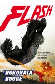 Flash 07: Dokonalá bouře