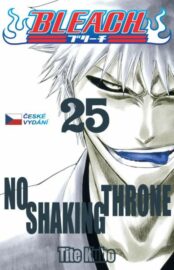 Bleach 25
