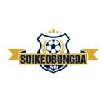 soikeo bongda