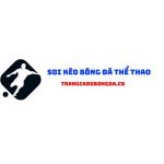 Trang cá độ bóng đá