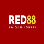 Red88 immobilien
