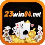 23win04 net