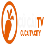 cucaitv city