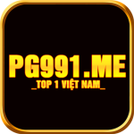 pg991 me