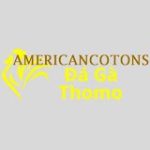 Đá Gà Trực Tiếp Thomo