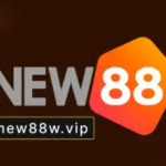 Nhà Đài New88