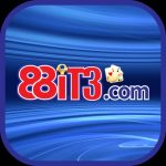 88it3