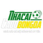 trang cá độ bóng đá