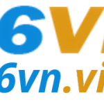 66VN 66VN