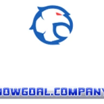 Nowgoal Company
