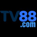 TV 88