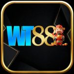 Wt 88