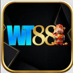 Wt88 run
