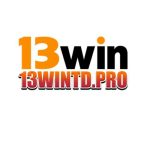 13WIN 13wintdpro