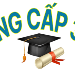 Bằng cấp uy tín 365