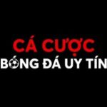Cá Cược Bóng Đá Nhà cái