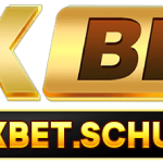 OXBET OXBET