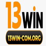 13Wincom org