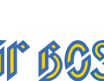 CAR BOSS