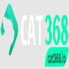 Cat368 io