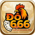 DO666 FSM