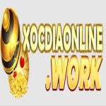 Xocdia online