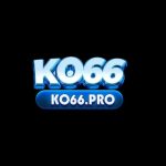 ko66 ko66