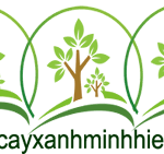 Cây Xanh Minh Hiếu