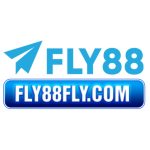 FLY 88