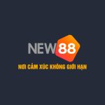 NEW88 Nhà cái