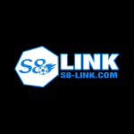 S8 link com