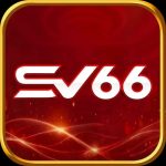 Sv66bet world