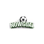 Nowgoal hu net