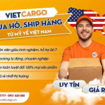 VietCargo Ship Hàng Mỹ