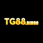tg88 bingo